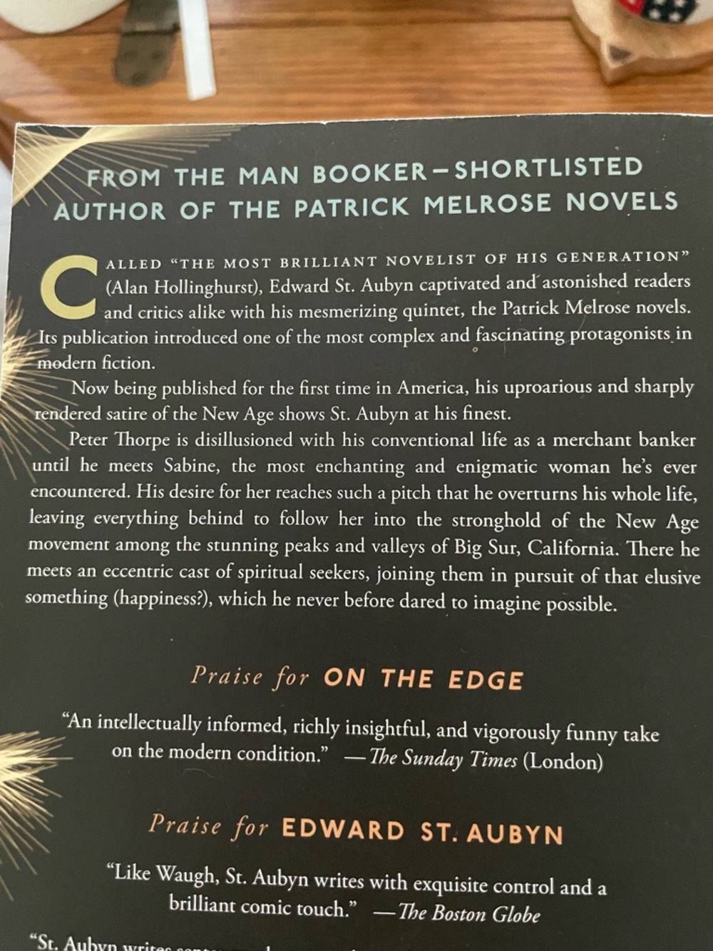 On The Edge Paperback by Edward St. Aubyn EUC - Picture 6 of 7